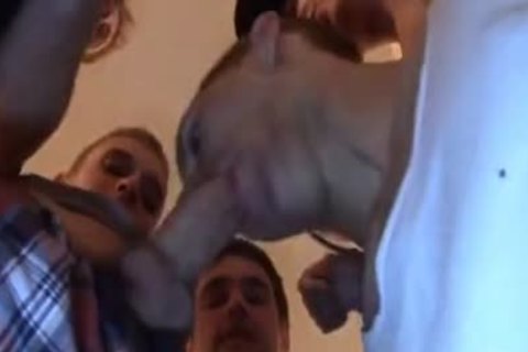 Muscle legal age teenagers wazoo Creampie - Pornhub