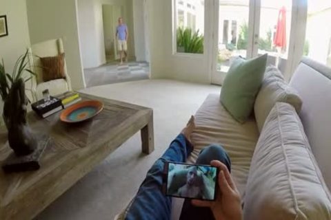 Troy & Morgan Shades