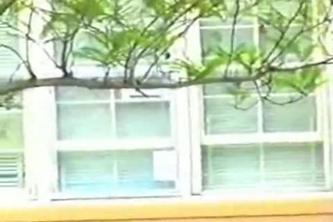 MONSTER 10-Pounder For White legal age teenager