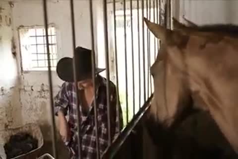 excited boyz bang In The Farm