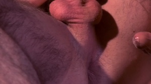 Top To Bottom : Woody Fox - Woody Fox painfully Hump