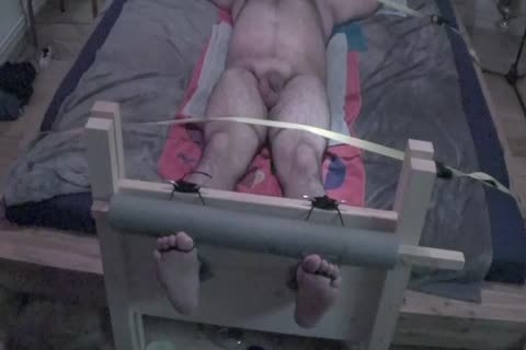 naked Bear tied And Tickled In Stocks