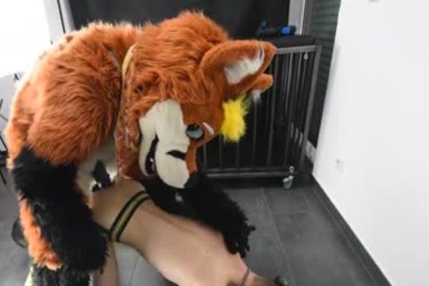 Puppy acquires pounded By Fursuit With  vibrator