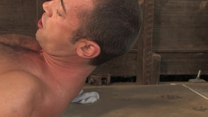 Falcon Studios: Majestic Mashing and Magnificent Manly Meats
